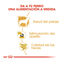 85 g Royal Canin Yorkshire Terrier saquetas para cães , , large Indicador imagem número 6
